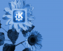 blue kde4flower