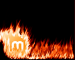 Linuxmint fire