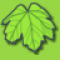 Minty Leaf Logo by mickyz