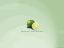 beauty has a name. KDE lime