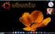 walpaper ubuntu