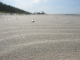 Baltic sand (piasek)