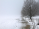 mist and snow-1