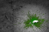 openSUSE Splat