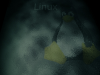 Linux Glass