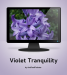 Violet Tranquility
