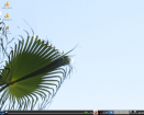 Simply Palm (for BodhiLinux)