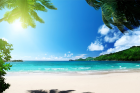 Beach Summer Palms (6480x4320)