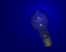 blue bulb