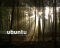 ubuntu forrest light