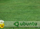 Ubuntu Green land