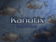 The Kanotix Fish