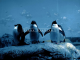 Penguin linux desktop