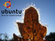 Ubuntu Winter