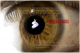 Gentoo eye from the future