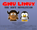 GNU/Linux, The Soft Revolution 2