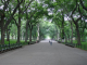 NYC - Central Park - Grand Promenade