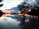 Evening at Amazon River - Photo 3