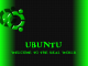 Ubuntu Matrix 1.0