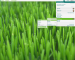 KDE 4 - Enterprise Manager Tool