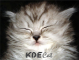 KDE_Cat
