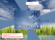 KDE Login (logout) Transitions