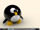 penguin_desktop