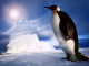 kubuntu_penguin