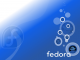 Fedora Hat bubbles