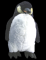 penguino