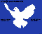 peace pigeon