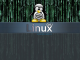 Linux Inside Matrix 