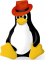 Soft Tux with Red Hat Fedora