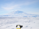 Where in the World is Tux? (Antarctica)