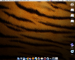 Gentoo OS X Tiger