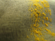 Pollen on mesh