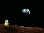 penguin on the moon