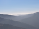White Mist in Black Forest