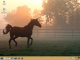 Country Desktop
