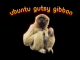 Ubuntu Gutsy Gibbon