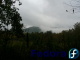 Fedora Mountains