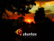 Ubuntox Sunset
