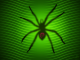 Debian Spider