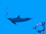 Dolphin GRUB splash