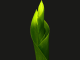 Green new leaf