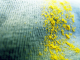 Pollen on mesh