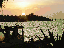 India Sunset