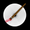 DVDstyler Icon