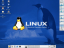 Linux Professional OS