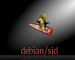 Tux Debian/sid Surf